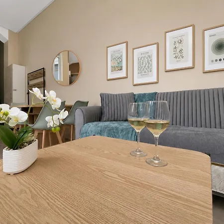 Appartement Lumineux Avec Terrasse En Centre-ville Tourcoing